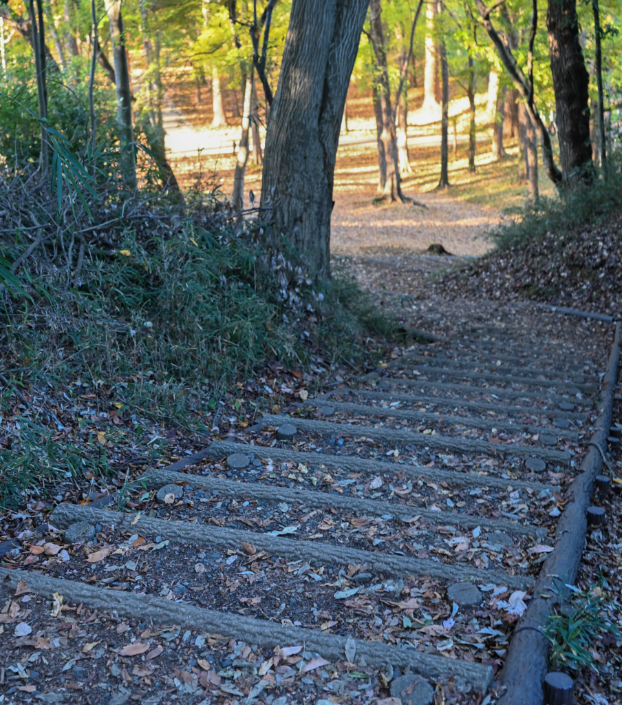 狭山公園