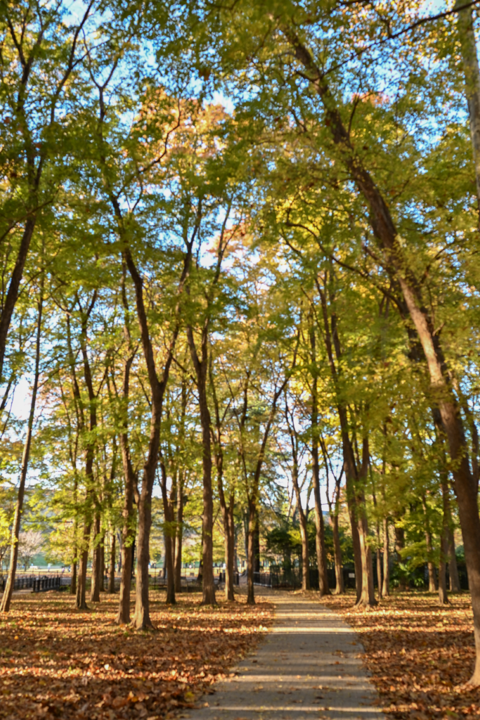 狭山公園